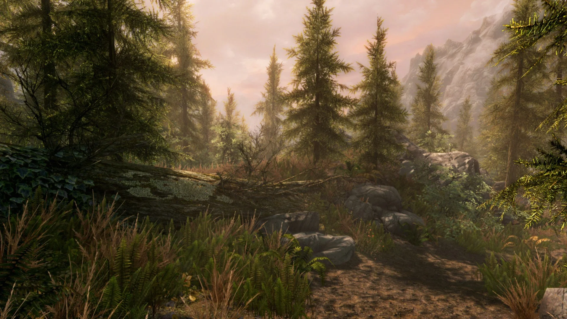 ✅THE ELDER SCROLLS V: SKYRIM SPECIAL EDITION✅XBOX🔑КЛЮЧ
