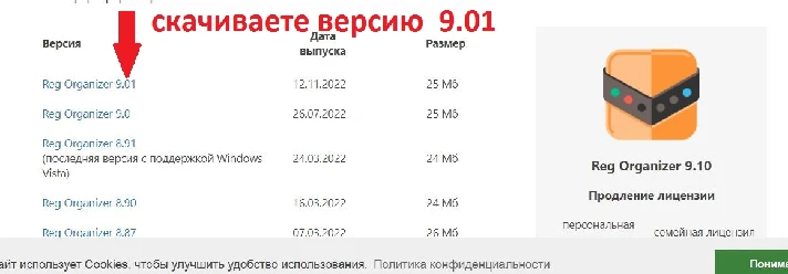 Reg Organizer 9.01 License key