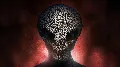 ✅❤️XCOM® 2 COLLECTION❤️XBOX ON — фото 3