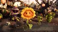 ✅❤️PLANTS VS ZOMBIES GARDEN WA — фото 5