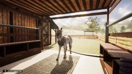 Animal Shelter - Horse Shelter DLC АВТОДОСТАВКА STEAM РОССИЯ