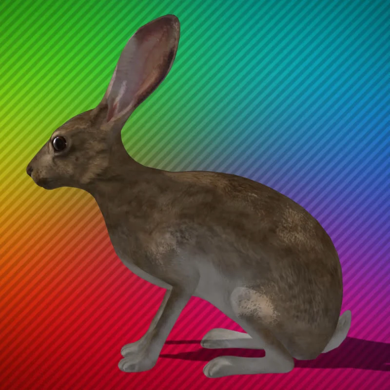 Кролик - GreenScreen видео