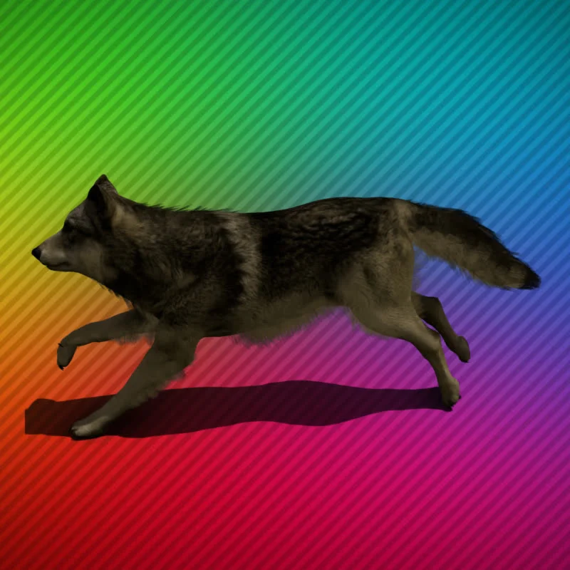 Волк - GreenScreen видео