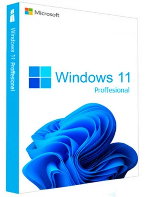 Windows 11 Pro Key