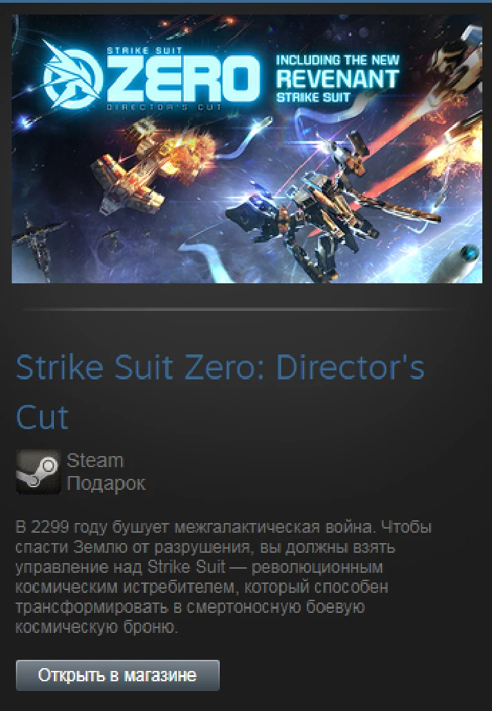 Strike Suit Zero Directors Cut (Steam Gift Region Free)