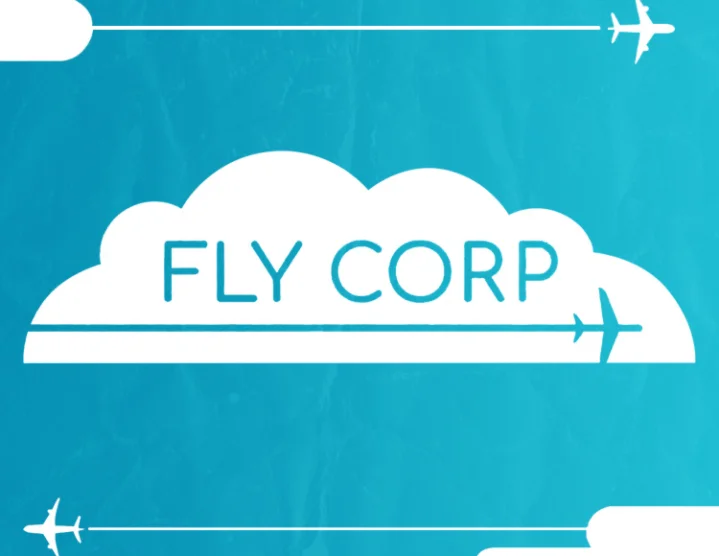 Fly Corp (steam key)