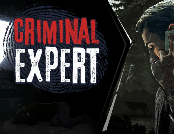Criminal Expert (steam key)