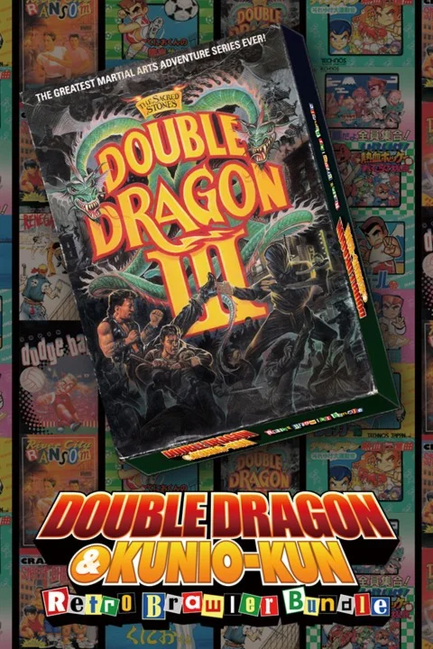 DOUBLE DRAGON Ⅲ: The Sacred Stones Xbox активация