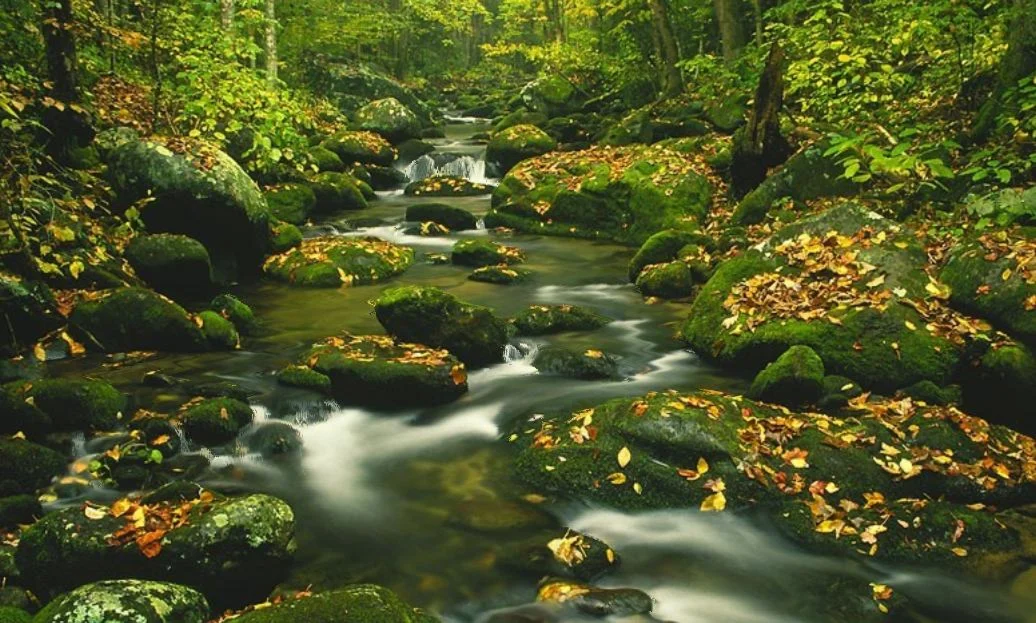 МЕГА ПАК! 15 Скринсейверов на водную тематику + БОНУС
