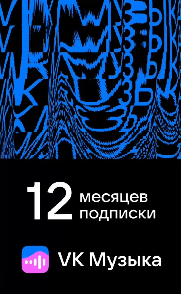 🎶🔵VK Music for 12 months (CODE) RU