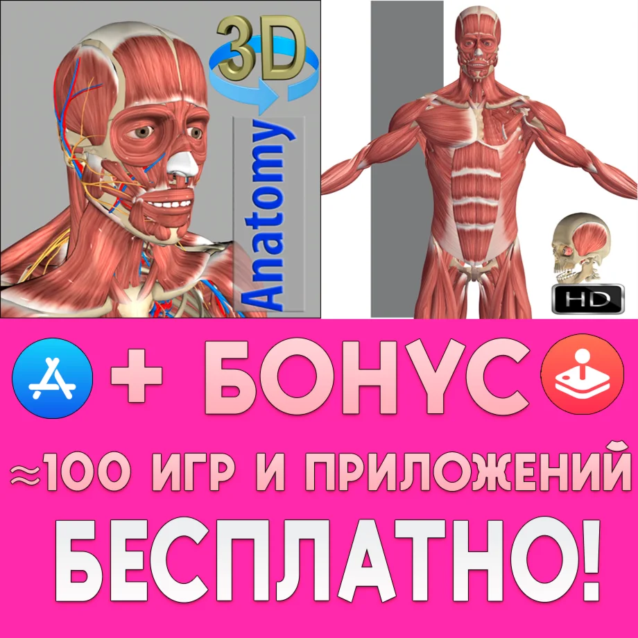 ️ 3D Anatomy + Visual Anatomy iPhone ios AppStore iPad