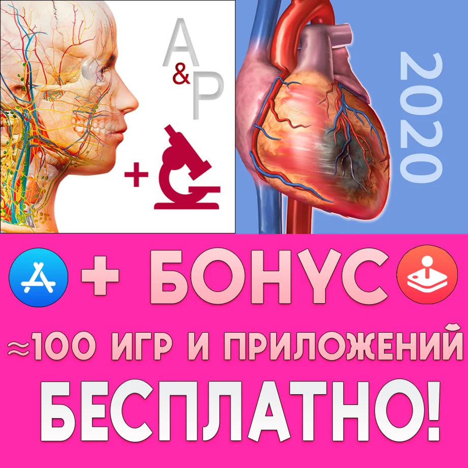Anatomy & Physiology iPhone ios AppStore iPad На Сутки