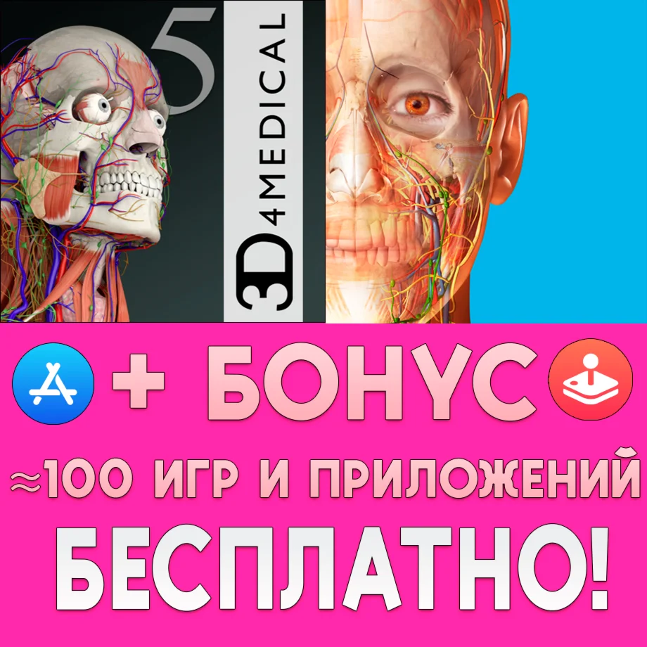Essential Anatomy 5 iPhone ios AppStore iPad На Сутки