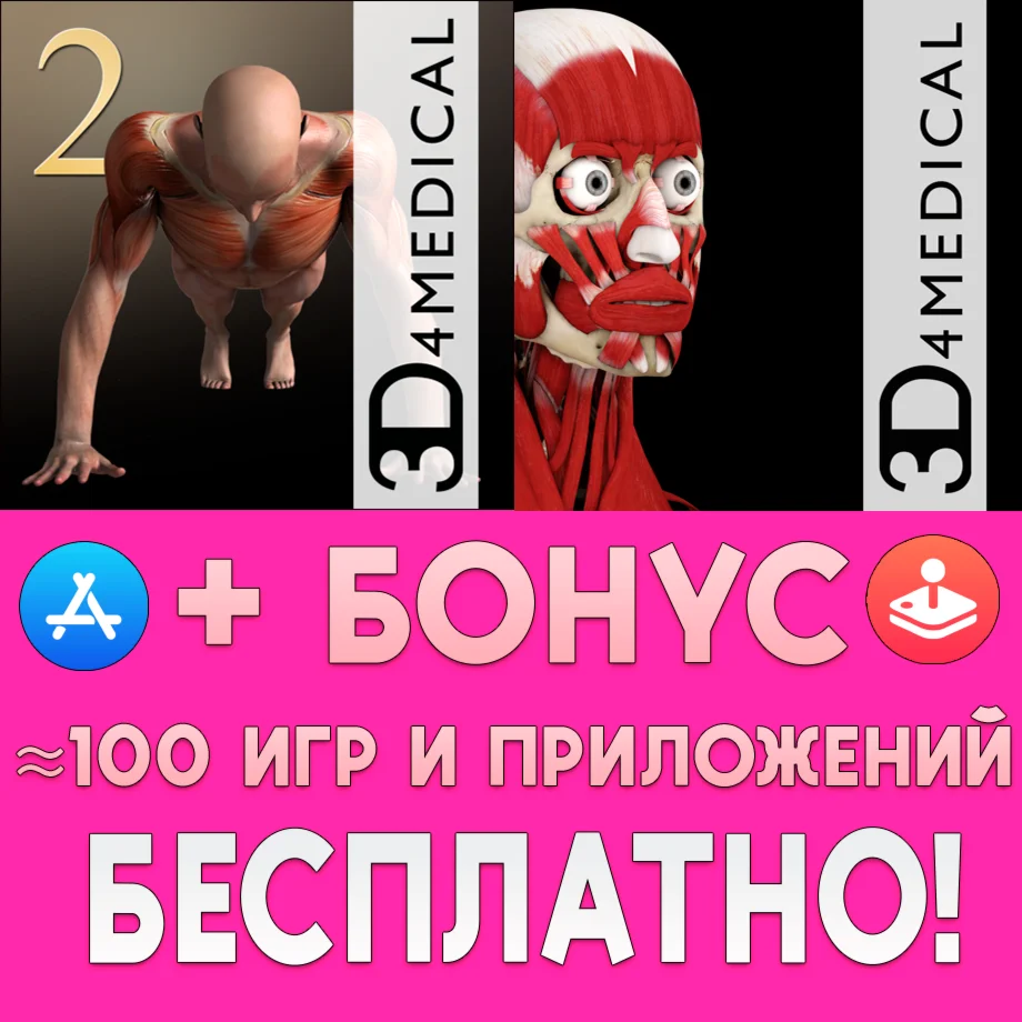 ️ iMuscle 2 + Muscle System Pro III iPhone ios iPad