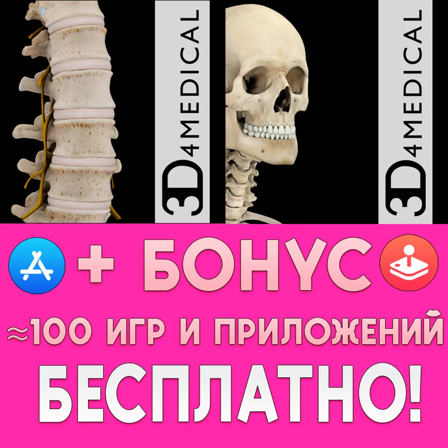  Spine Pro III + Skeleton System Pro III iPhone ios