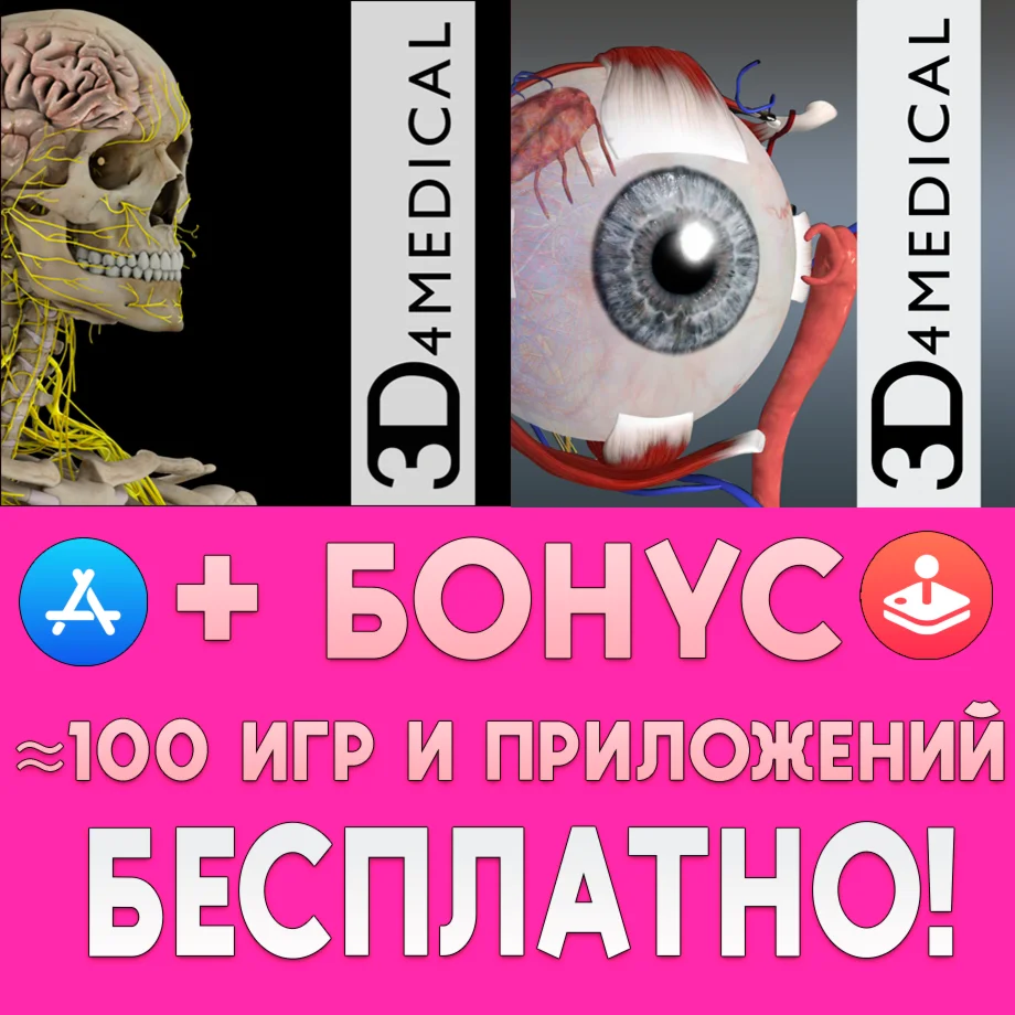 Brain & Nervous System Pro III Essential Eye iPhone ios