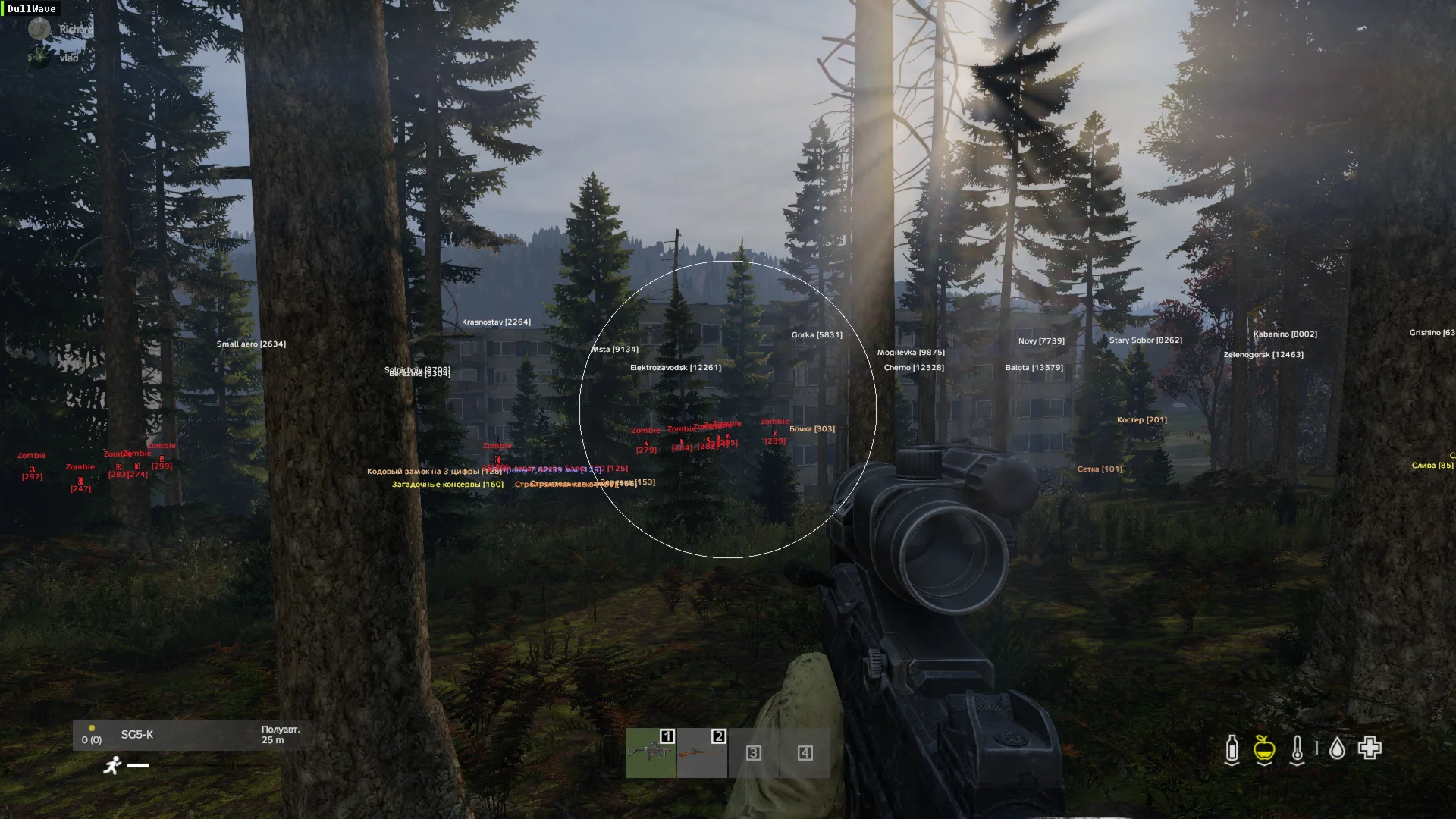 DayZ - DullWave (Подписка от 1 дня)