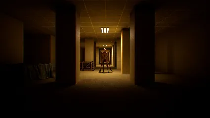 BACKROOMS: APPREHENSION АВТОДОСТАВКА STEAM РОССИЯ