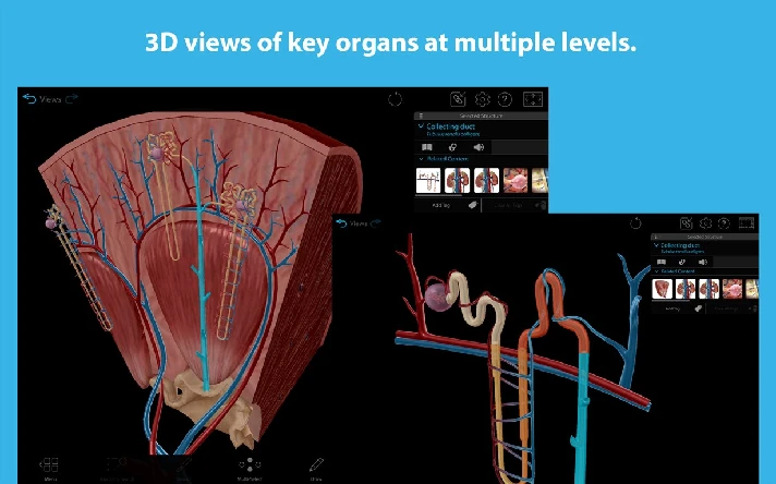 Human Anatomy Atlas 2025 ✅ Microsoft Store Windows PC