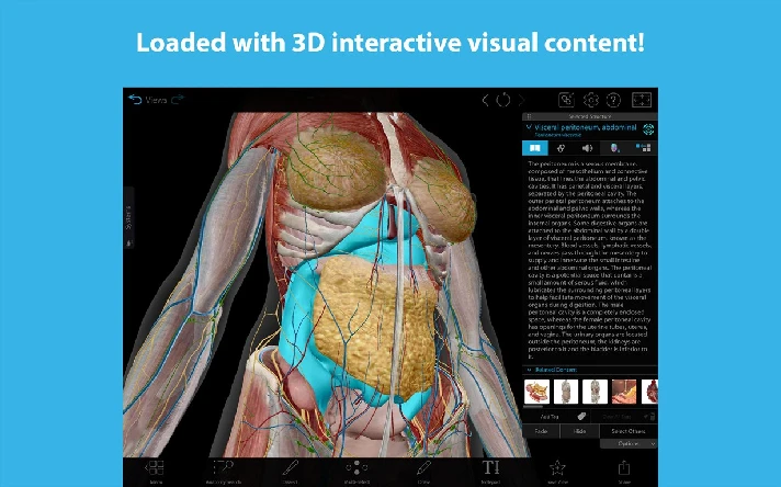 Human Anatomy Atlas 2025 ✅ Microsoft Store Windows PC