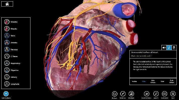 Essential Anatomy 3 ✅Microsoft Store Windows activation