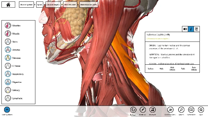 Essential Anatomy 3 ✅Microsoft Store Windows activation