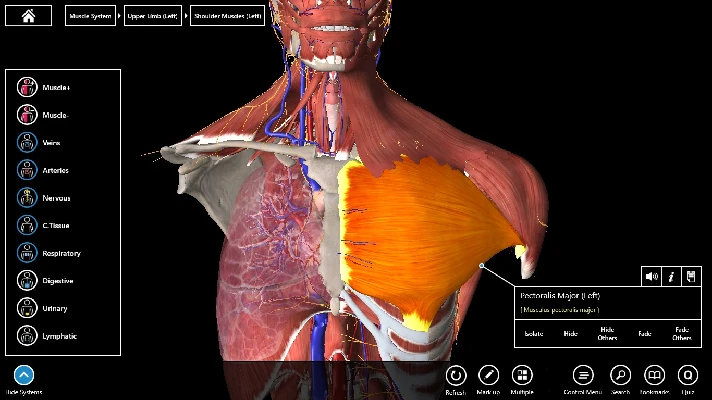 Essential Anatomy 3 ✅Microsoft Store Windows activation