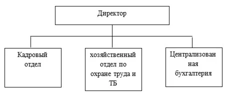 Практика по получению профессиональных умений и опыта п
