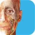 Human Anatomy Atlas 2025: Complete 3D  Microsoft Store