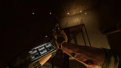 Ghosts of Tabor - Care Package Edition Upgrade 💎 STEAM