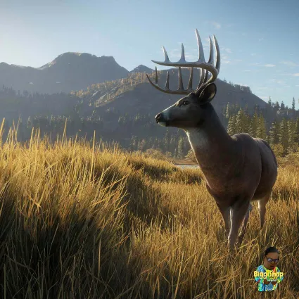 ⚡ TheHunter Call of the Wild|Охотник Зов предков PS4|PS5