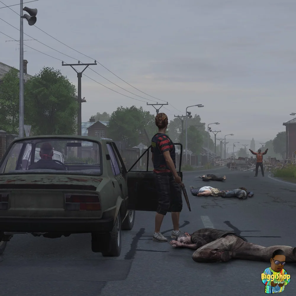 ⚡DayZ Livonia⚡PS4