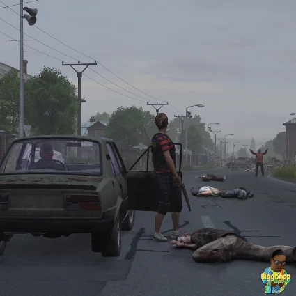 ⚡ DayZ Livonia ⚡ PS4