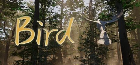 Bird (Steam Gift Россия) 