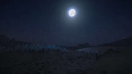 Silica 2023 АВТОДОСТАВКА STEAM GIFT РОССИЯ