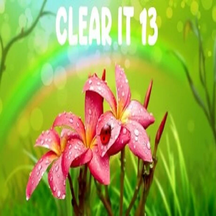 ClearIt 13 (Steam key / Region Free)