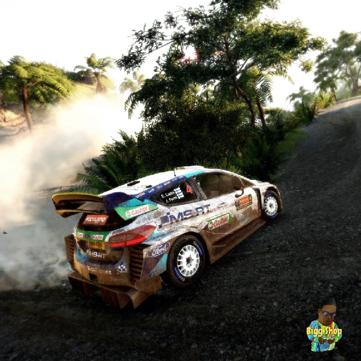 ⚡WRC 9 FIA World Rally Championship⚡PS4 | PS5