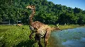 ✅❤️JURASSIC WORLD EVOLUTION -  — фото 3