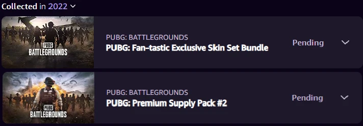 PUBG: Pack #2 + Fan-tastic Exclusive Skin Set Bundle