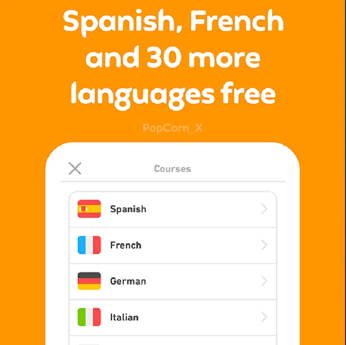 🔵 Duolingo SUPER Premium 12 MONTH ✅ WARRANTY