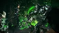 Batman: Коллекция Аркхема XBOX — фото 5