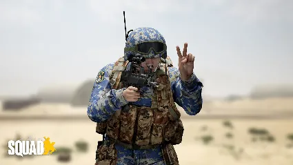 Squad Emotes - Attitude Pack АВТОДОСТАВКА STEAM РОССИЯ