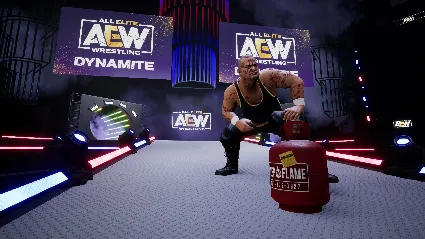AEW: Fight Forever Elite Edition Xbox One  Series X|S