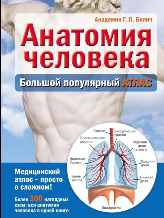 Билич, Лукашанец, Мазур: Анатомия человека.