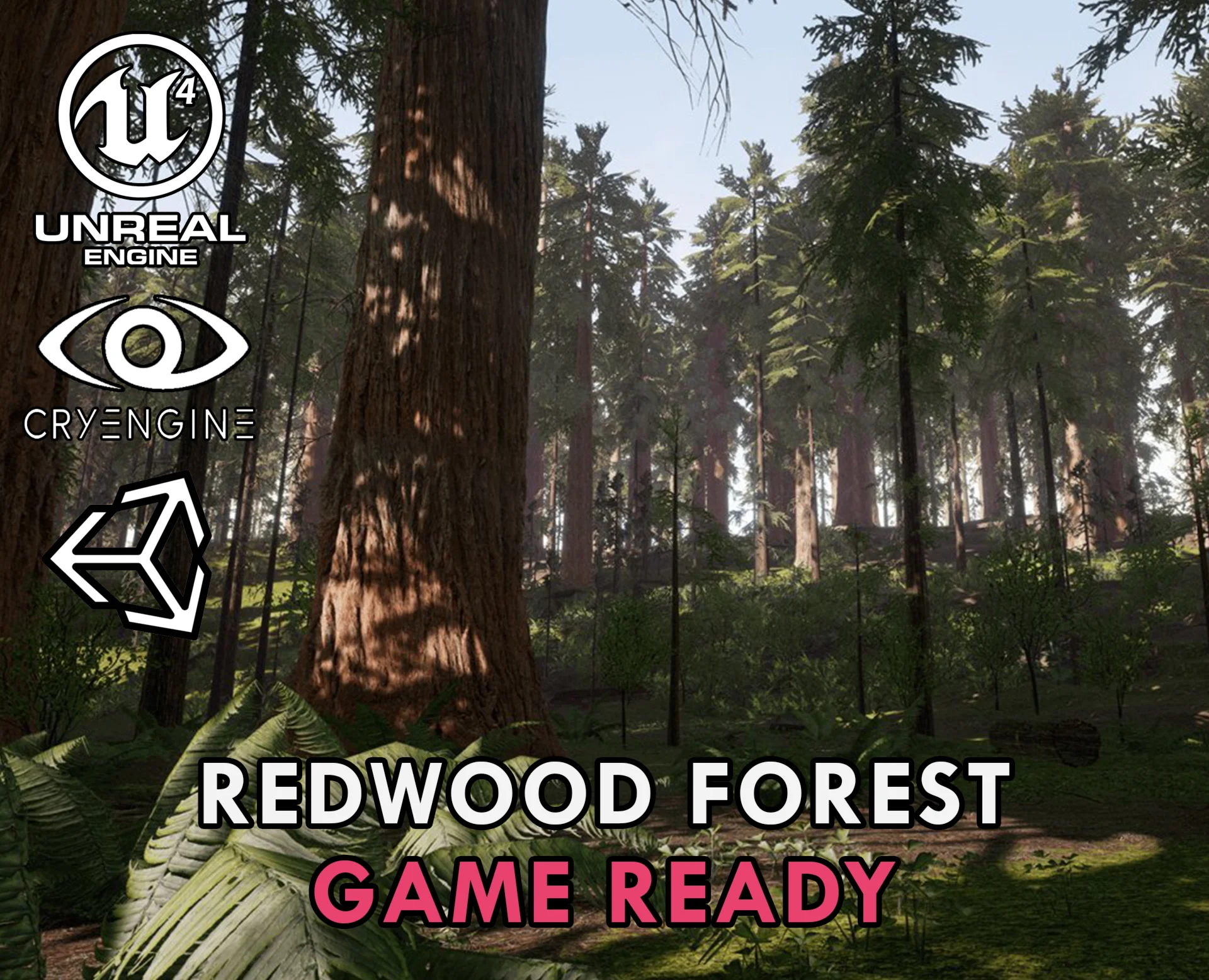 Redwood forest for game ready