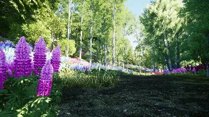Nature Hunter 💎 АВТОДОСТАВКА STEAM GIFT РОССИЯ