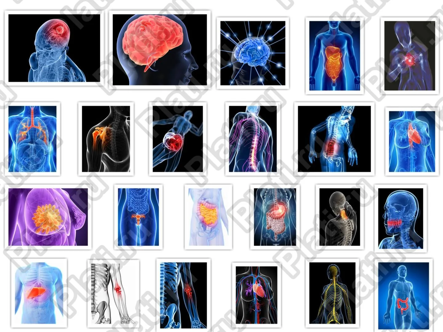 HD фотографии человеческого организма - анатомия