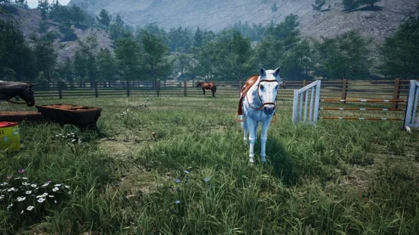 ⚡️Steam gift Russia - Ranch Simulator | AUTODELIVERY