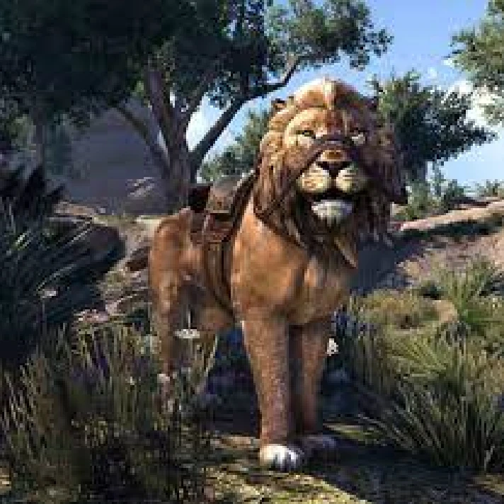 TESO Elder Scrolls Online Mounts EU US