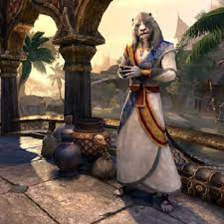 TESO Elder Scrolls Online Wardrobe EU US